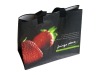 pp promotional bag with zipper