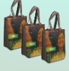 pp recyclable shopping bag