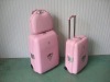 pp trolley case