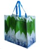 pp woven bags for gift(W800241)