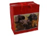 pp woven bags new design
