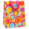pp woven handle bag(NV-E005)