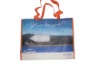 pp woven handled shopping bag