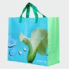 pp woven laminated bag