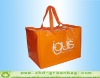 pp woven laminated shopping bag