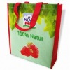 pp woven lamination bag(NV-E0168)