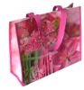 pp woven promotional bag