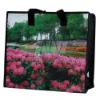 pp woven reusable zipper shopping bag(NV-3010)