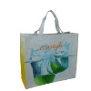 pp woven shopping bag