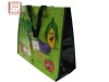 pp woven shopping bag