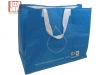 pp woven shopping bag