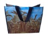 pp woven shopping bag