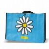 pp woven shopping bag