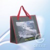 pp woven shopping bag