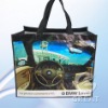 pp woven shopping bag