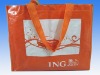 pp woven shopping bag(CL-153)