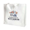 pp woven shopping bag(DFY-W037)