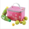 pretty cute picinc cooler bag