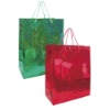 printed paper shopping bag