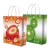 printed paper shopping bag