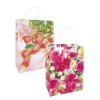 printed paper shopping bag