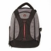 professhional camera bag/backpack