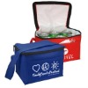 promotion 6 can cooler bag