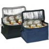 promotion 6 cans cooler bag