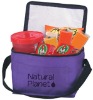 promotion cooler bag