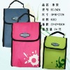 promotion   cooler bag
