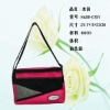 promotion  food bag