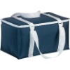 promotion insulated cooler bag (NV-D044)