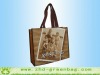 promotion pp non woven bag