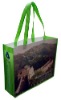 promotion pp non woven bag