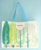 promotion pp non woven bag