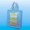 promotional bag