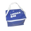 promotional camping cooler bag