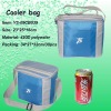 promotional can bags