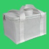 promotional can cooler bag