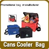 promotional can picnic cooler bag