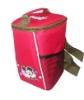 promotional ice cooler bag