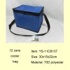 promotional insulated cooler bag