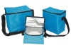 promotional non-woven cooler bag