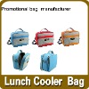 promotional picnic carry bag