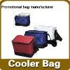 promotional picnic shoulder cooler bag