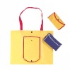 promotional pp non woven tote bag