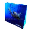 promotional pp woven bag(NV-E311)