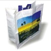 promotional pp woven shopping bag(HDH035)