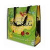 promotional pp woven shopping bag(NV-E038)
