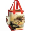 promotional shopping bag